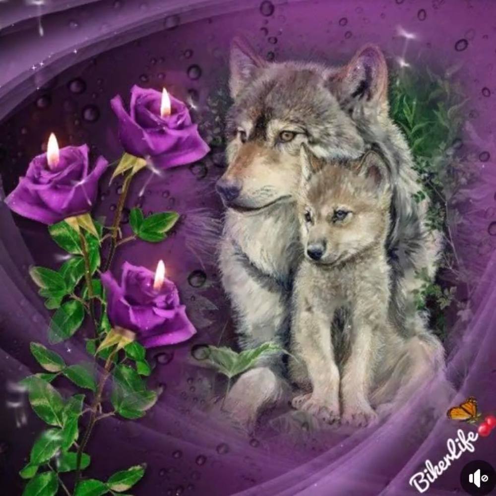 Meet your Posher, Tanya